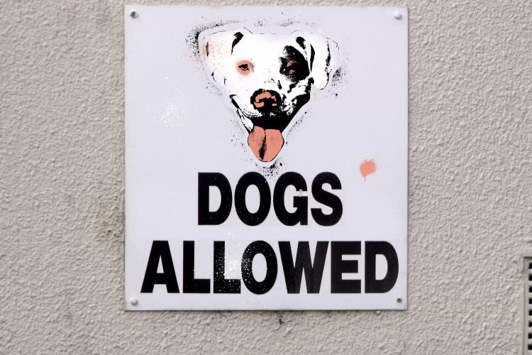 Dogs Allowed