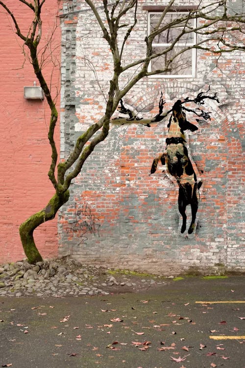 Just Hangning Around