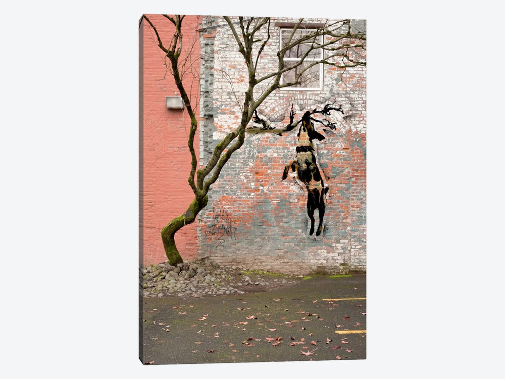 Just Hangning Around by 5by5collective 1-piece Canvas Artwork