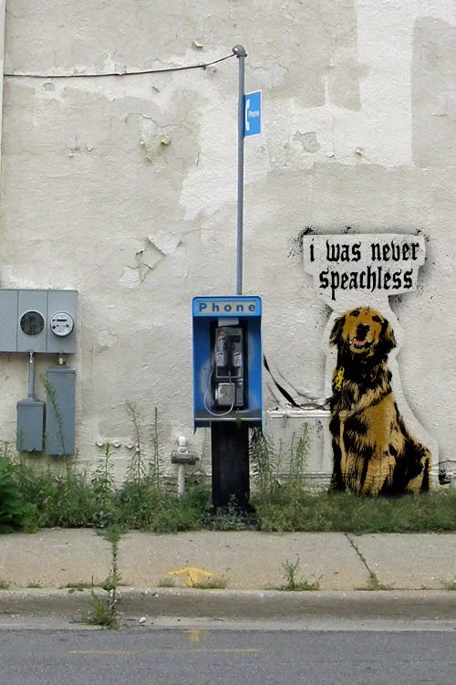 Speachless Retriever by 5by5collective wall art