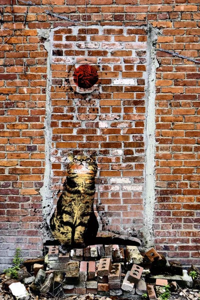 Hypnotized by 5by5collective art print