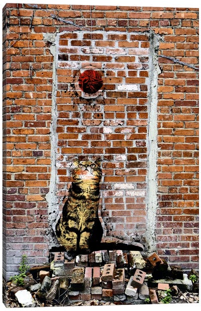 Hypnotized Canvas Art Print - Tabby Cat Art