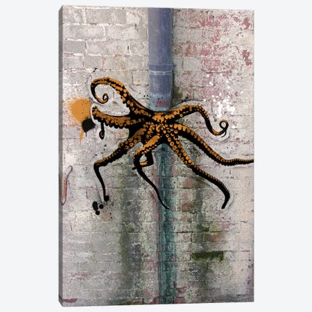 Octopus on the Loose Canvas Print #ICA490} by 5by5collective Canvas Art Print