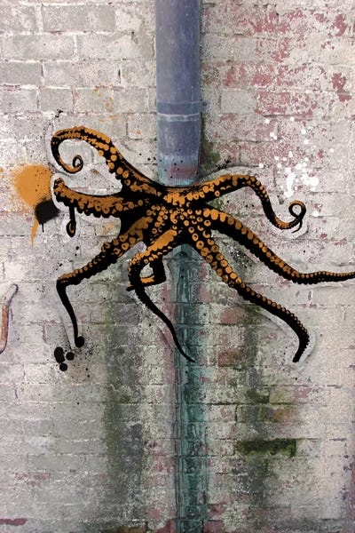 Octopi: Octopus on the Loose by 5by5collective
