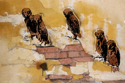 Hoot Are You by 5by5collective canvas print