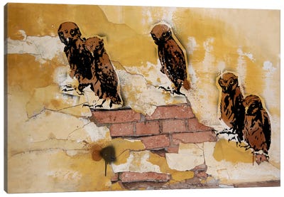 Hoot Are You Canvas Art Print - Stencil Animals