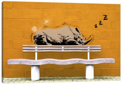 Sleepy Rhino Canvas Art Print - Rhinoceros Art