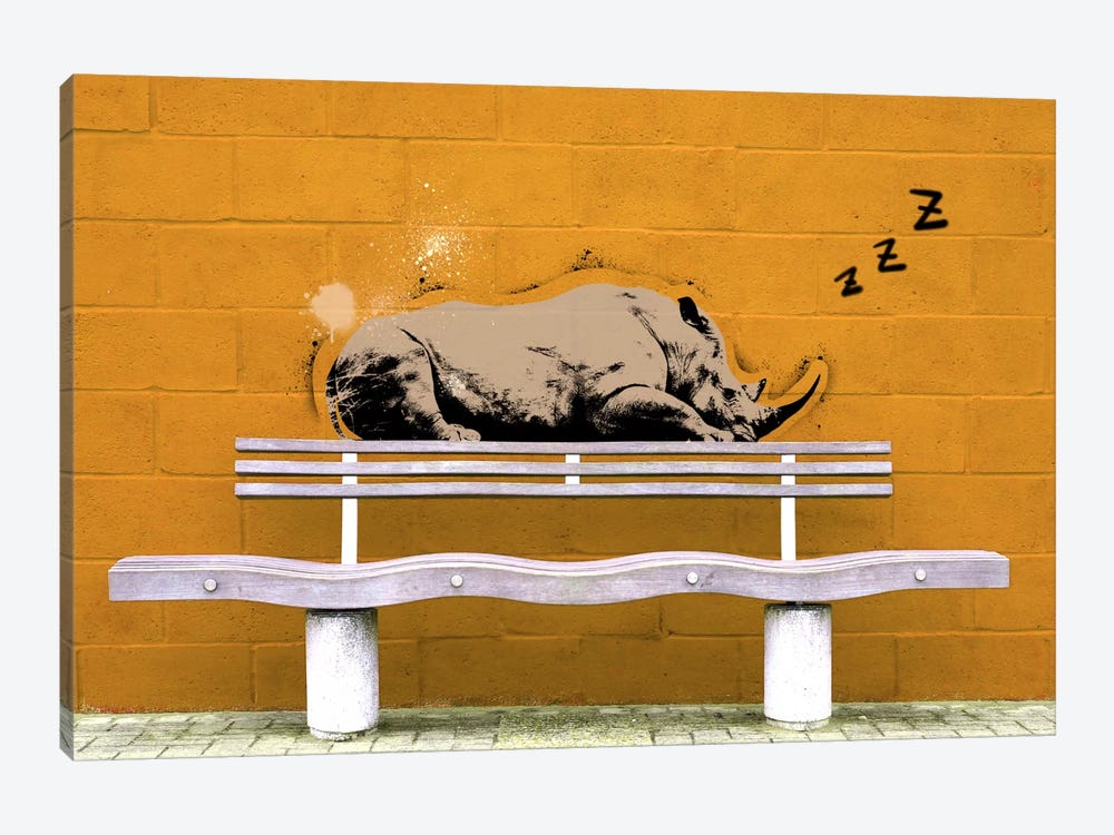 Sleepy Rhino by 5by5collective 1-piece Canvas Wall Art