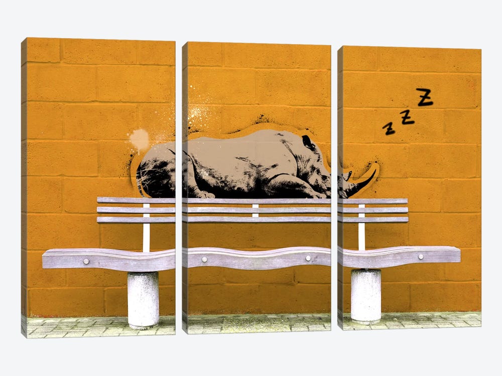 Sleepy Rhino by 5by5collective 3-piece Canvas Artwork