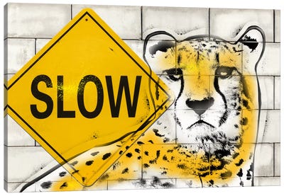 Slow Cheetah Playing Canvas Art Print - Signs