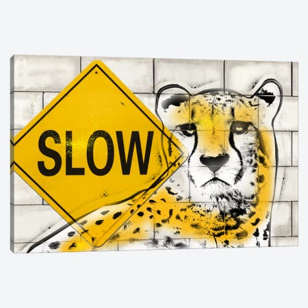 Slow Cheetah Playing Canvas Print #ICA493} by 5by5collective Canvas Art Print