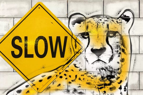 Similar To Banksy: Slow Cheetah Playing by 5by5collective