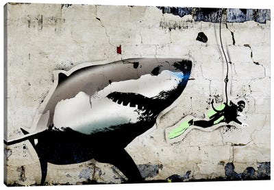 Shark Bait Canvas Art Print - Great White Sharks