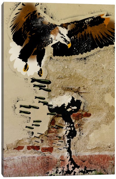 Freedom Fighter Canvas Art Print - Eagle Art