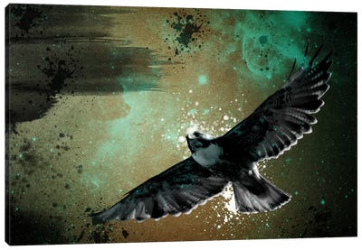 Obscured in Clouds Canvas Art Print - Falcons