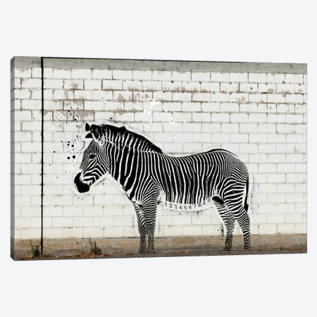 Barcode Zebra Canvas Print #ICA506} by 5by5collective Canvas Art