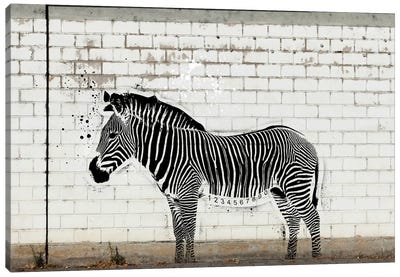 Barcode Zebra Canvas Art Print - Stencil Animals