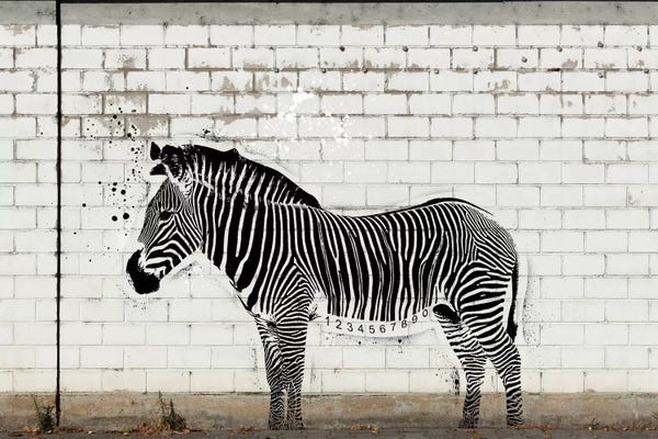 Zebras: Barcode Zebra by 5by5collective