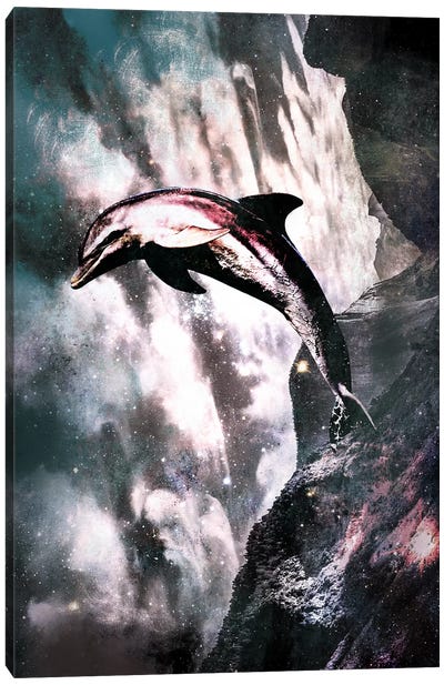 Out of the Blue Canvas Art Print - Dolphin Art
