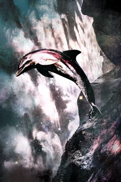 Dolphins: Out of the Blue by 5by5collective