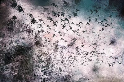 In Search of Life by 5by5collective multi panel art