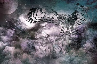 Shade of Night by 5by5collective canvas print