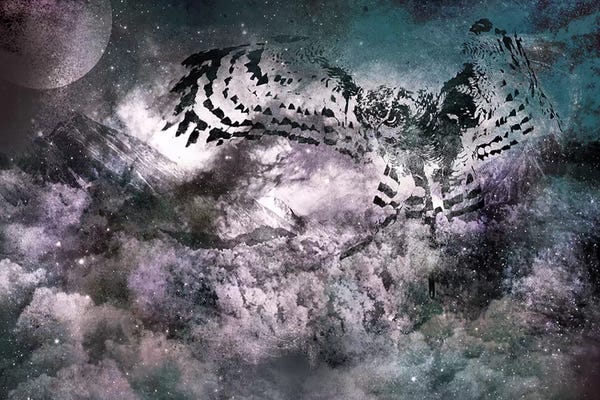 Gray & Purple: Shade of Night by 5by5collective