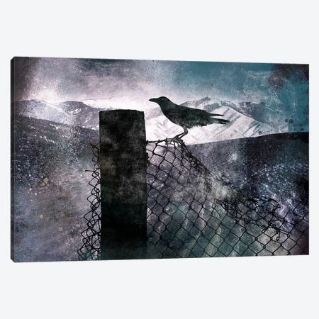 Night Raven Canvas Print #ICA538} by 5by5collective Canvas Wall Art