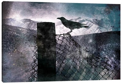 Night Raven Canvas Art Print - Kitsch Opus