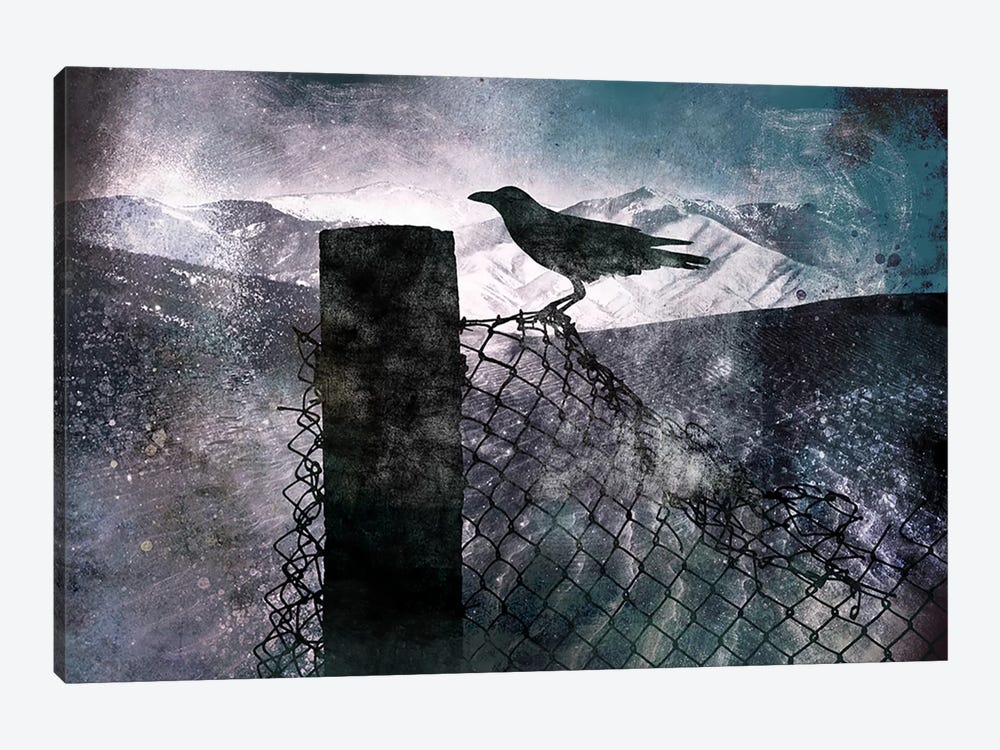 Night Raven by 5by5collective 1-piece Canvas Print