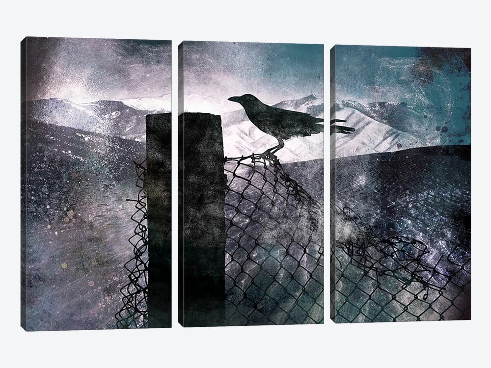 Night Raven by 5by5collective 3-piece Canvas Print