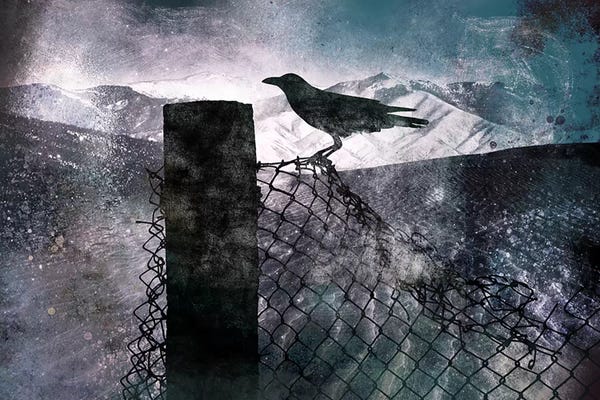 Night Sky: Night Raven by 5by5collective