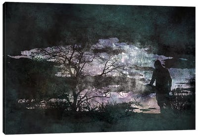 The Dark Side Canvas Art Print - Marsh & Swamp Art