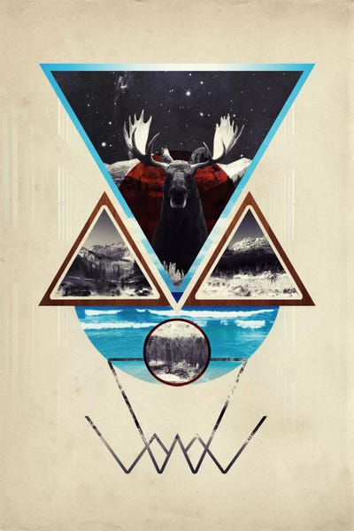 Moose: Face of Complexity by 5by5collective