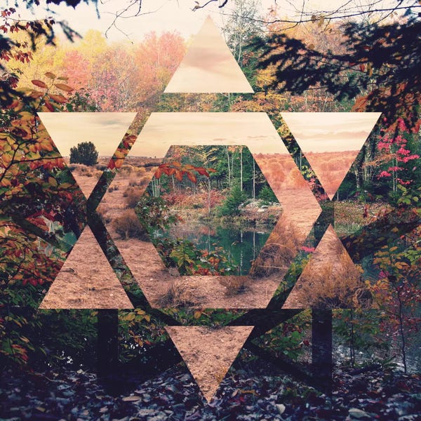 Marshes & Swamps: Duplex Visionary by 5by5collective