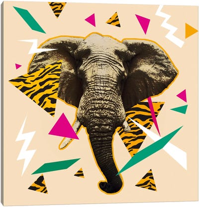 Kinetic Raver Canvas Art Print - Elephant Art