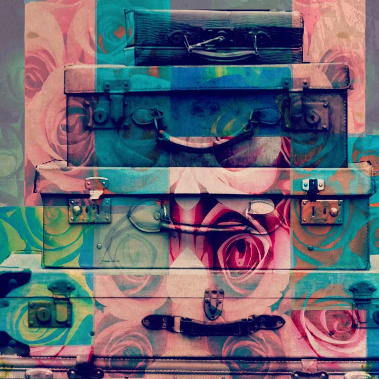 Vintage Floral Luggage