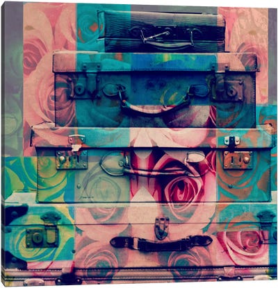 Vintage Floral Luggage Canvas Art Print