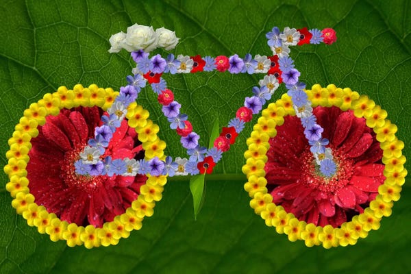 Cycling: Green Thumb Cycle by 5by5collective