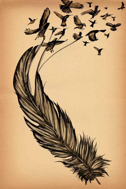 All From a Feather