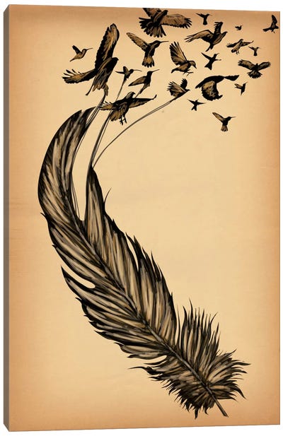 All From a Feather Canvas Art Print - Kane