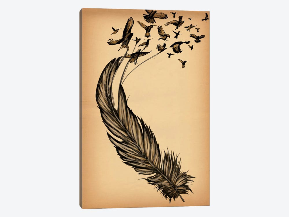 All From a Feather by 5by5collective 1-piece Canvas Art