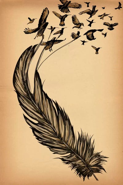 Feathers: All From a Feather by 5by5collective