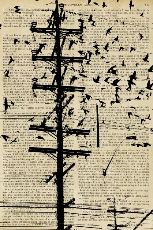 Words Paint a Picture