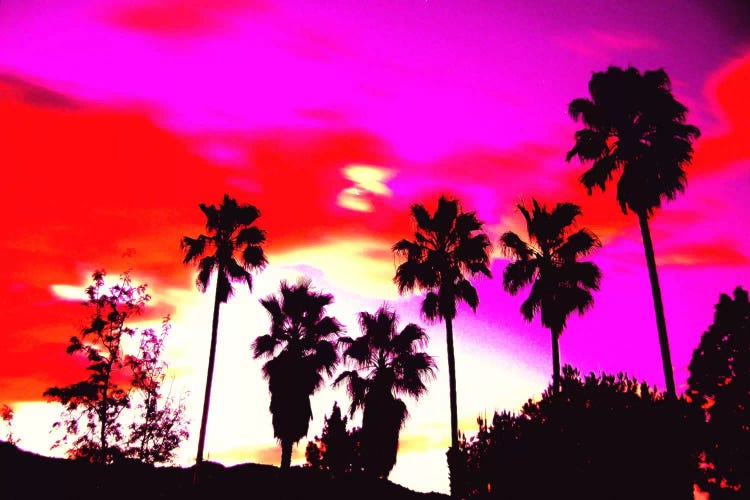 Burning Sky of Palms by 5by5collective wall art