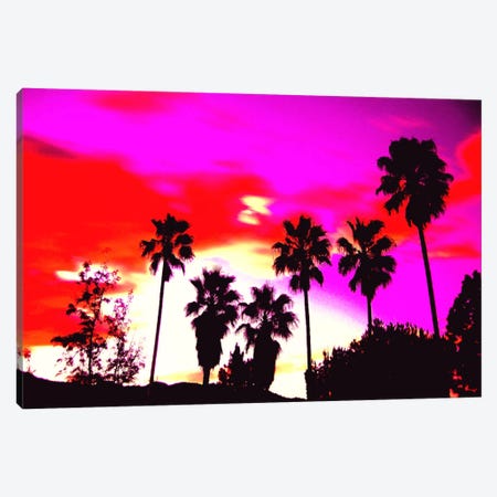 Burning Sky of Palms Canvas Print #ICA822} by 5by5collective Canvas Art