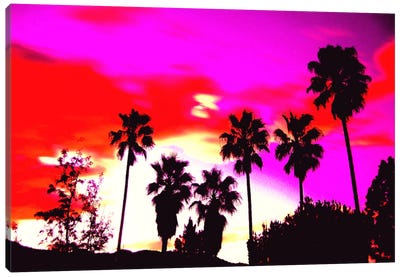 Burning Sky of Palms Canvas Art Print - Art of Manliness