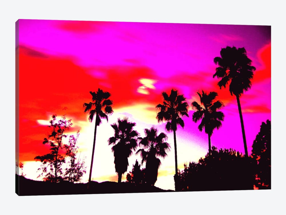 Burning Sky of Palms 1-piece Canvas Print