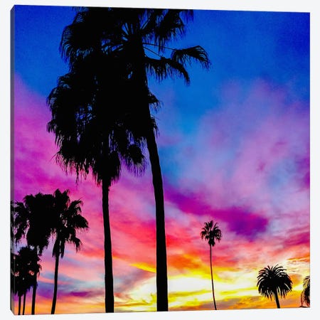 Painted Skies Above the Palms Canvas Print #ICA823} by 5by5collective Canvas Wall Art