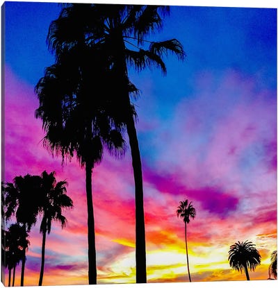 Painted Skies Above the Palms Canvas Art Print - Fabrizio